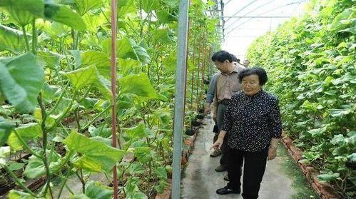 网红吃瓜解禁是真的吗还是假的,真相揭秘，是喜是忧？  第2张