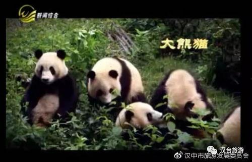 汉中电视台在线观看,尽享地方新闻与文化盛宴