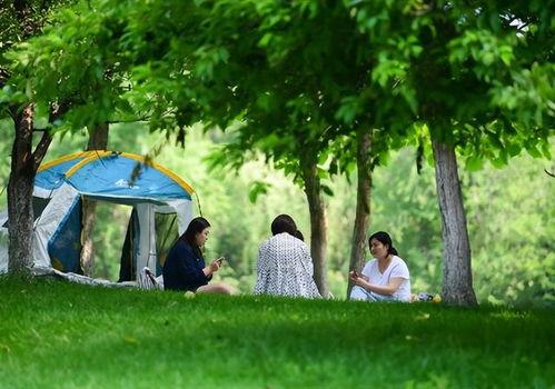 女子爆料破坏草地视频播放,女子爆料破坏草地视频引发热议 第2张 女子爆料破坏草地视频播放,女子爆料破坏草地视频引发热议 第2张