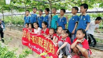 上寨小学最新爆料,校园风云再起  第3张